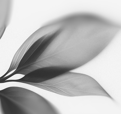 Container-(3) 2.png__PID:e94b0635-d153-46e4-bc63-868bc57f356d