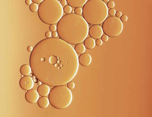 banish-what-is-ferulic-acid.webp